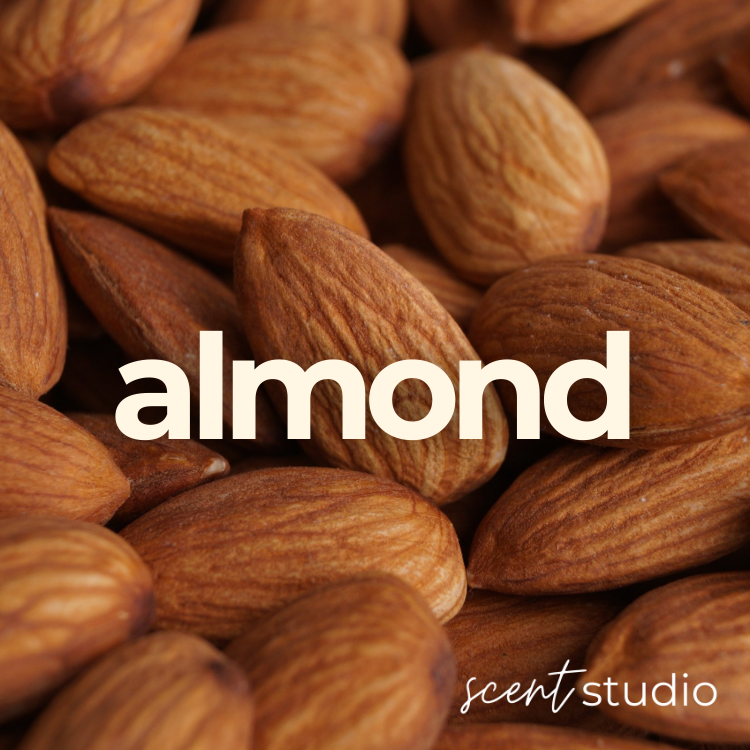 Almond Fragrance Oil