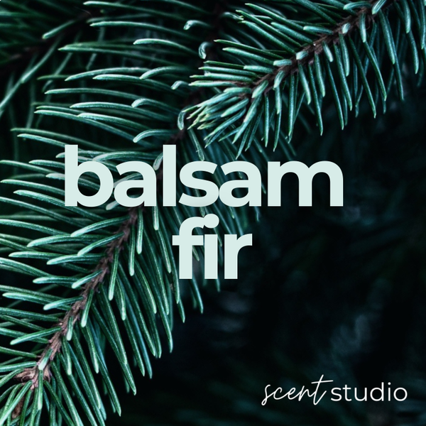 Balsam Fir Fragrance Oil