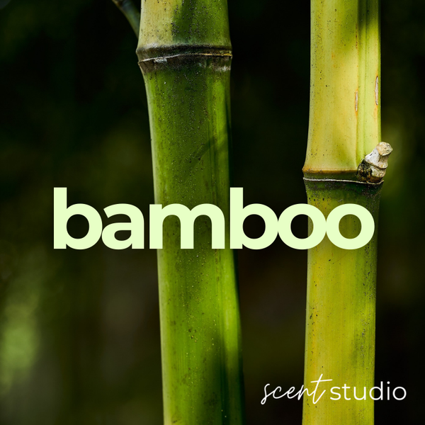 Bamboo Fragrance Oil