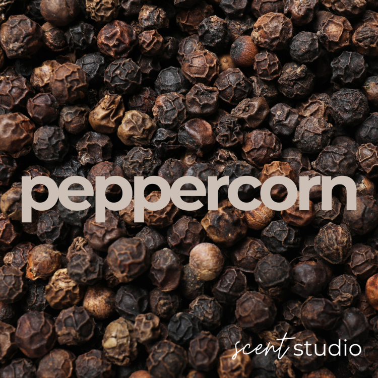 Peppercorn Fragrance Oil