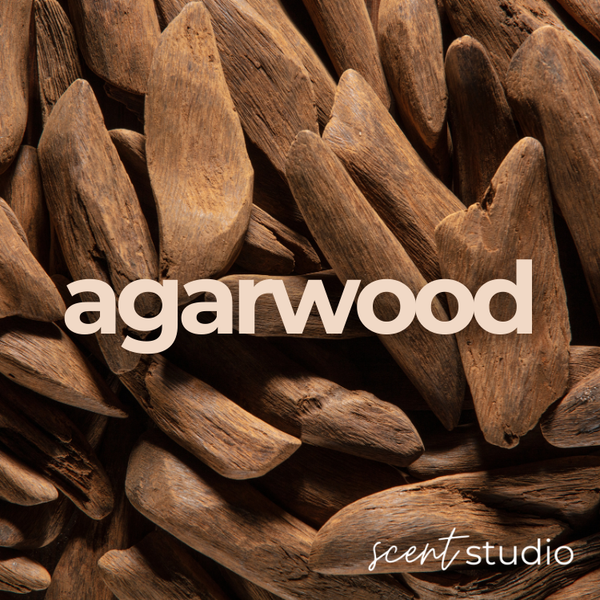 Agarwood Fragrance Oil