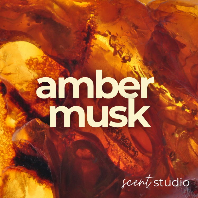 Amber Musk Fragrance Oil