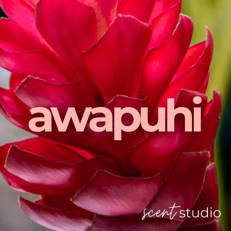 Awapuhi Fragrance Oil