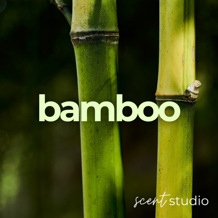 Bamboo Fragrance Oil