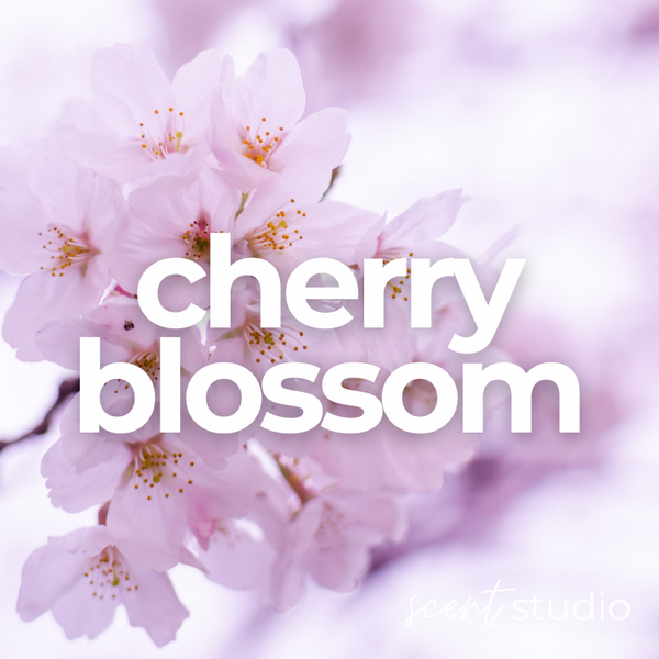 Cherry Blossom Fragrance Oil