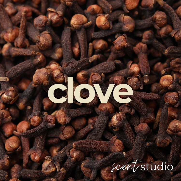 Clove Fragrance Oil