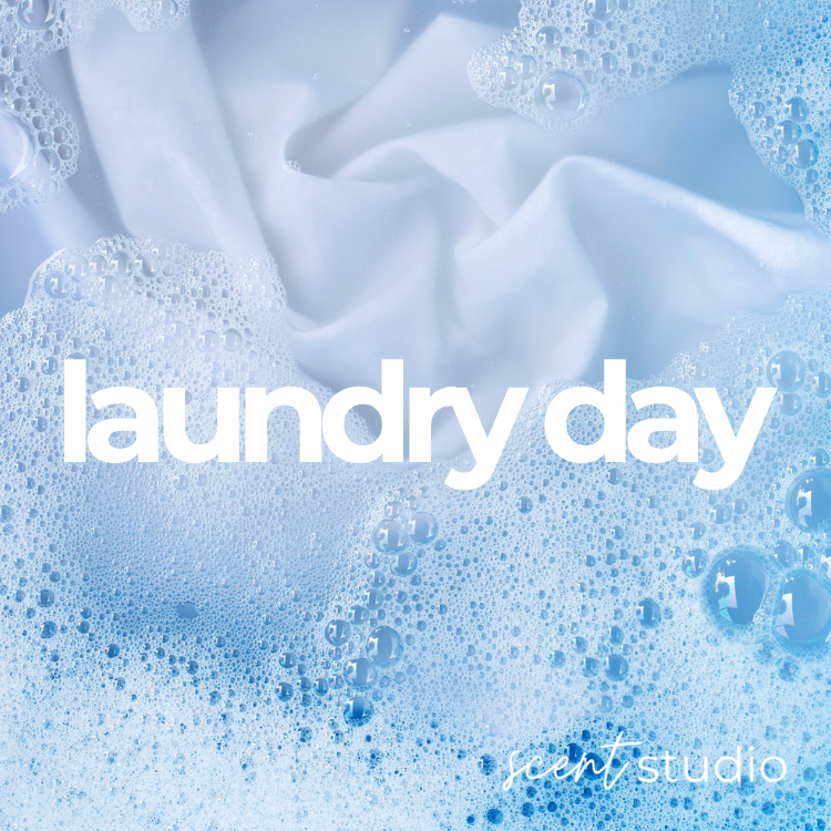 Laundry Day *Type* Fragrance Oil