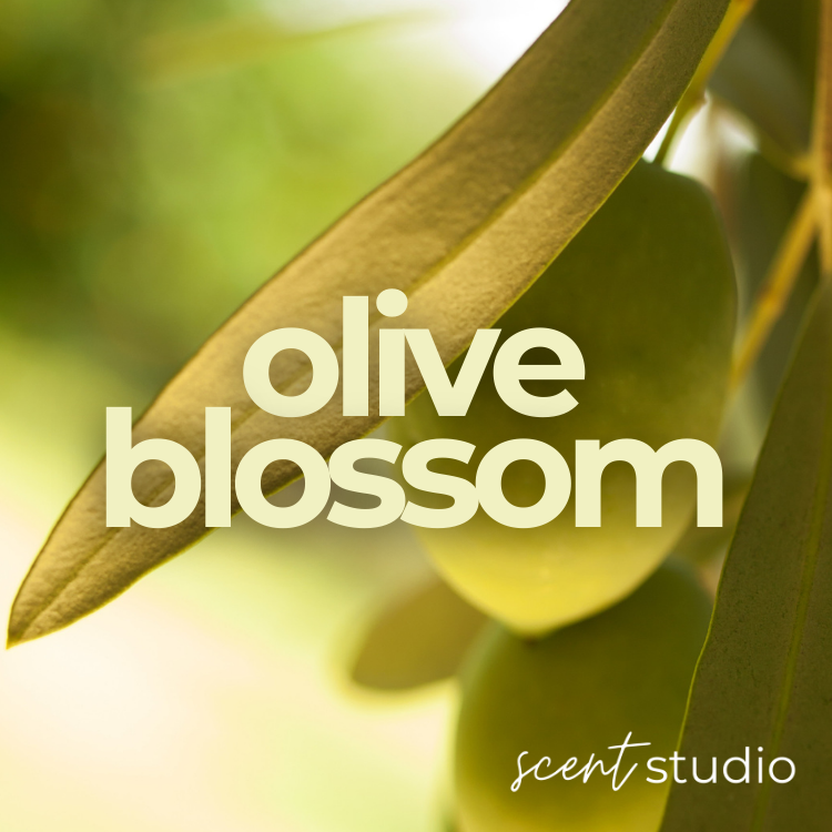 Olive Blossom Fragrance Oil