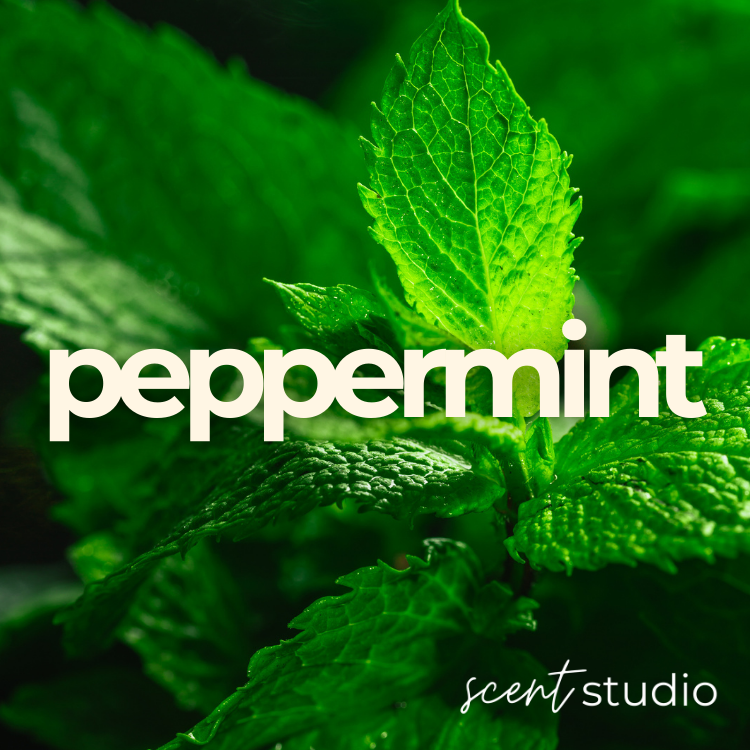 Peppermint Fragrance Oil