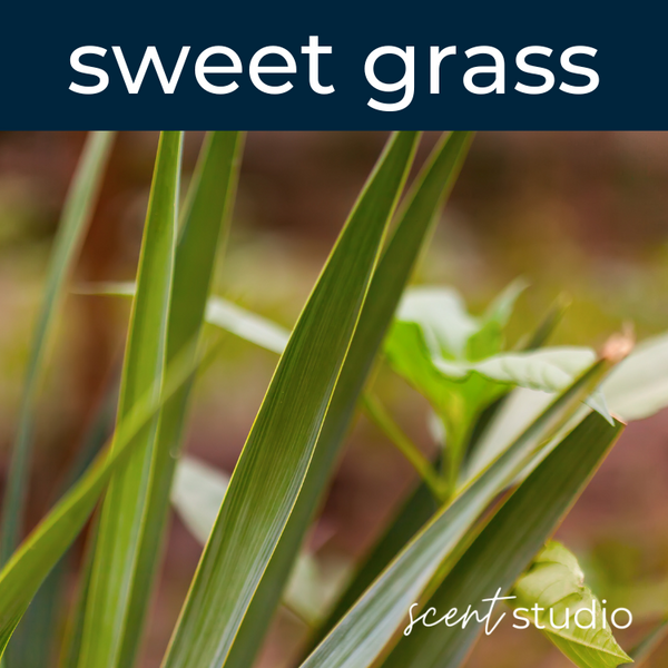 Sweet Grass Fragrance Oil