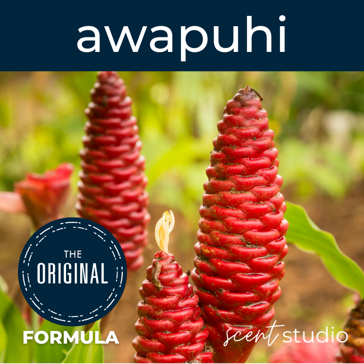 Awapuhi Fragrance Oil