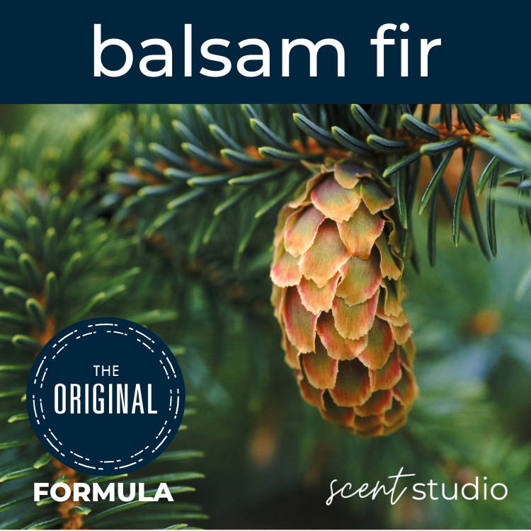 Balsam Fir Fragrance Oil