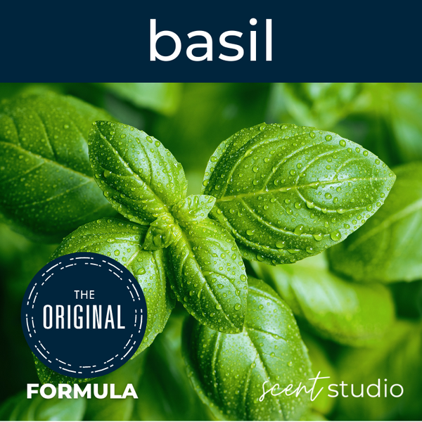 Basil Fragrance Oil