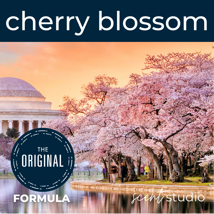 Cherry Blossom Fragrance Oil