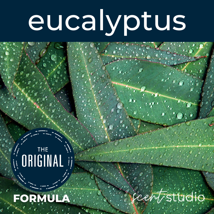 Eucalyptus Fragrance Oil