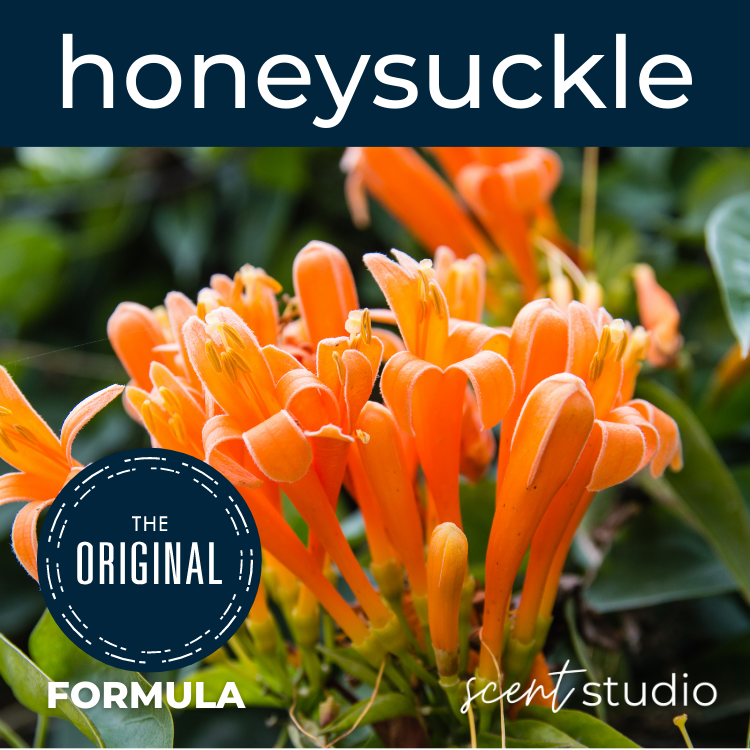 Honeysuckle Fragrance Oil