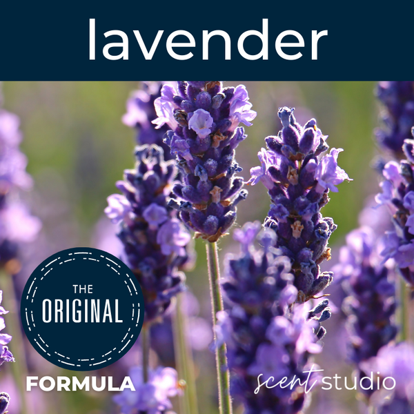 Lavender Fragrance Oil