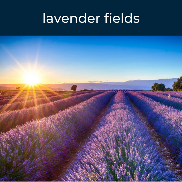 Lavender Fields Fragrance Oil