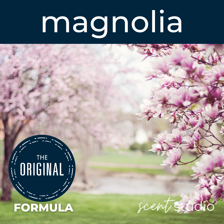 Magnolia Fragrance Oil