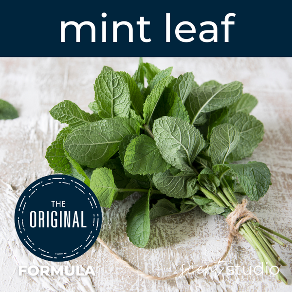 Mint Leaf Fragrance Oil