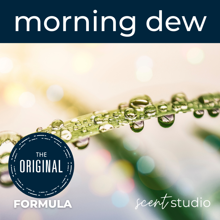 Morning Dew Fragrance Oil