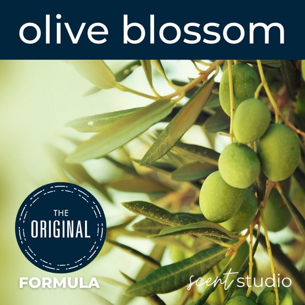 Olive Blossom Fragrance Oil