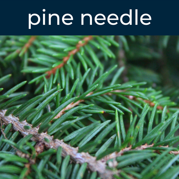 Pine Needle Fragrance Oil