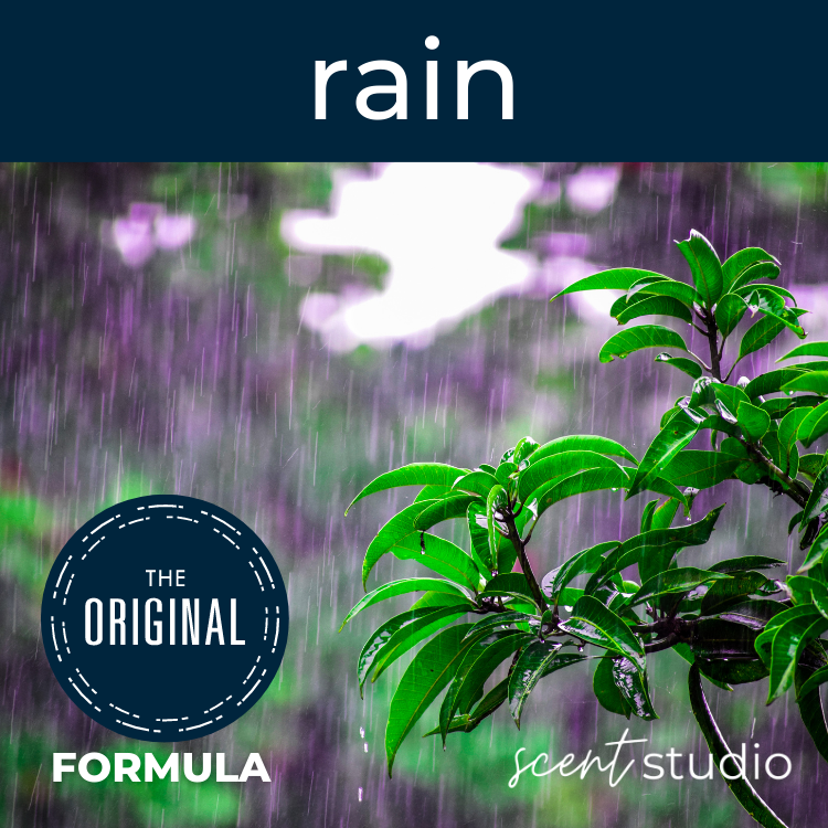 Rain Fragrance Oil