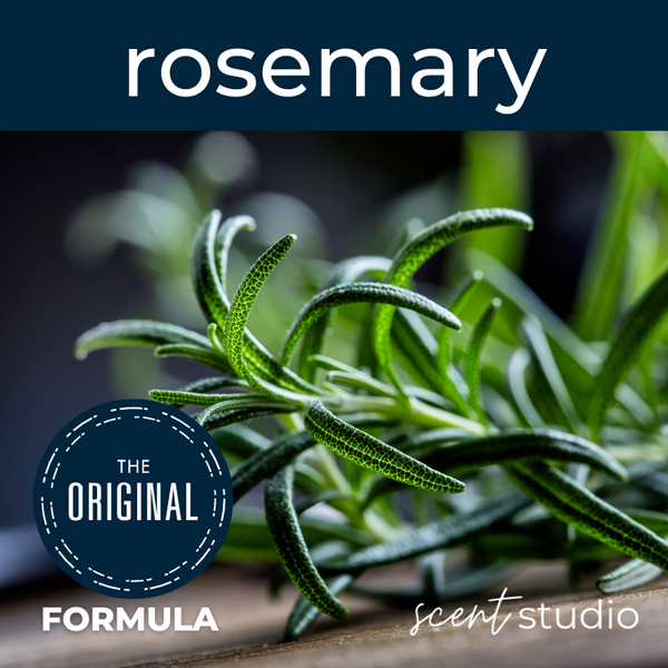 Rosemary Fragrance Oil