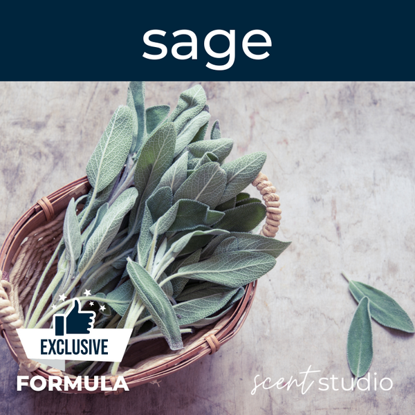 Sage Fragrance Oil