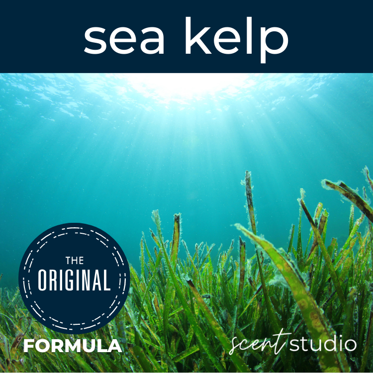 Sea Kelp Fragrance Oil