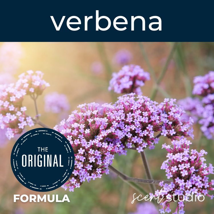 Verbena Fragrance Oil