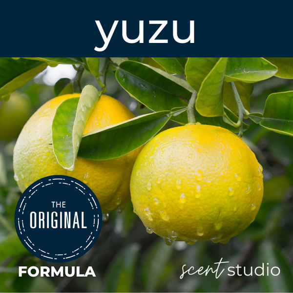 Yuzu Fragrance Oil